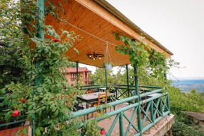 sighnaghi garden house